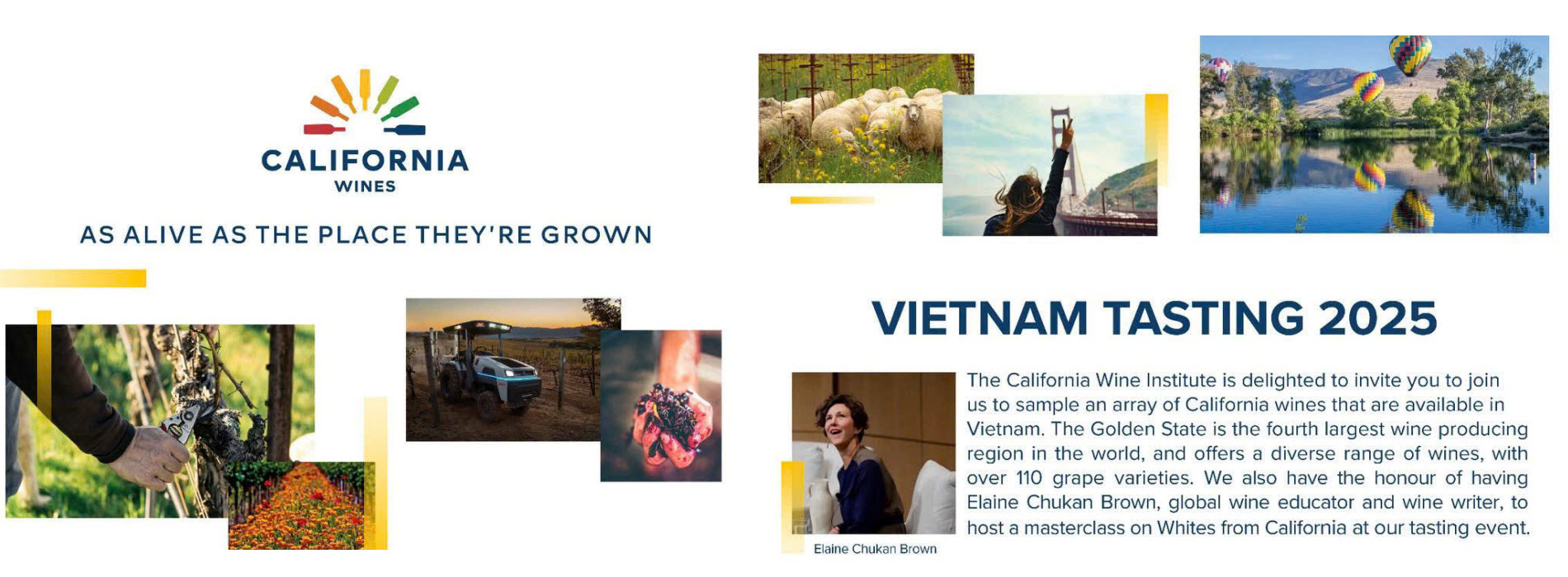 Vietnam Tasting 2025 California Wine Institue
